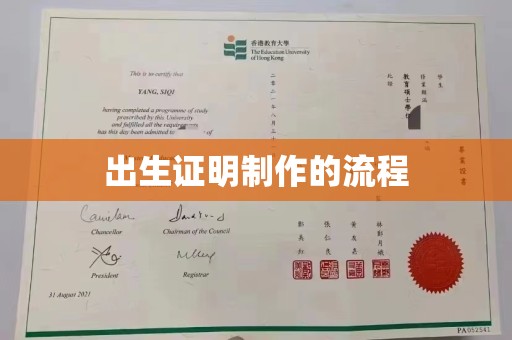 三台出生证明制作的流程