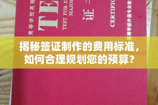 三台揭秘签证制作的费用标准，如何合理规划您的预算？