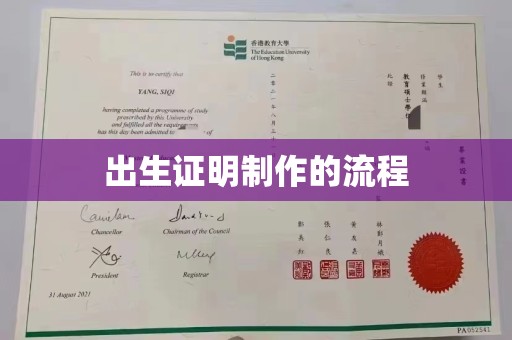 三台出生证明制作的流程