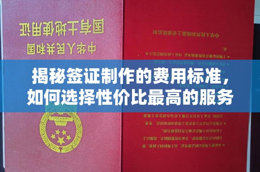 三台揭秘签证制作的费用标准，如何选择性价比最高的服务？