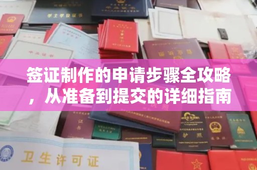 三台签证制作的申请步骤全攻略，从准备到提交的详细指南